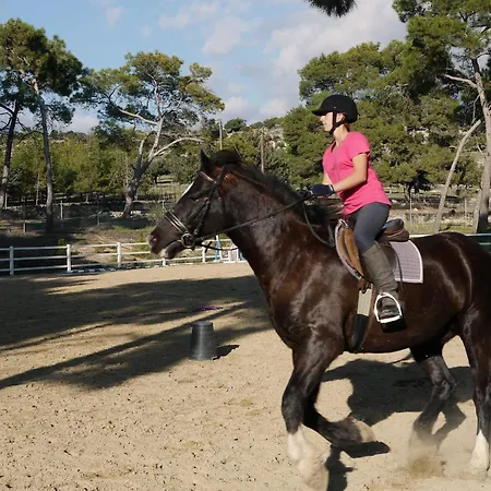 Apartamento Lovely Ground Floor Pomos With Private Garden And Communal Pool - Aphrodite Hills *